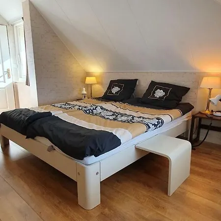 Riet Comfortable Veen