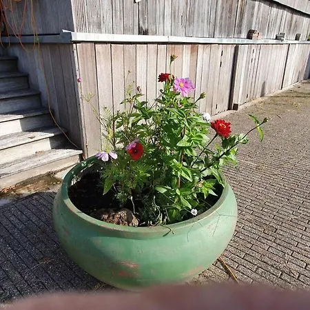 Riet Comfortable